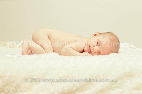 baby photographer perth